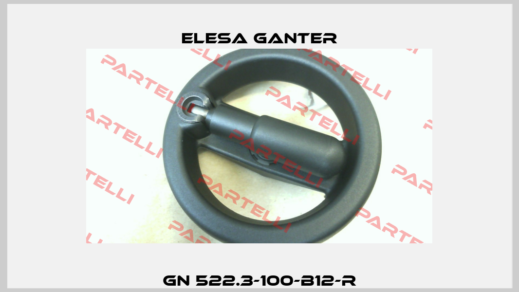 GN 522.3-100-B12-R Elesa Ganter