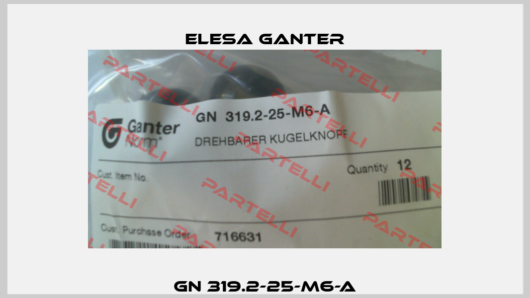 GN 319.2-25-M6-A Elesa Ganter