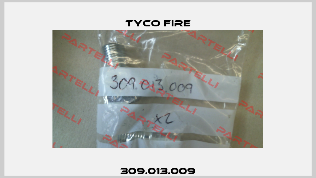 309.013.009 Tyco Fire