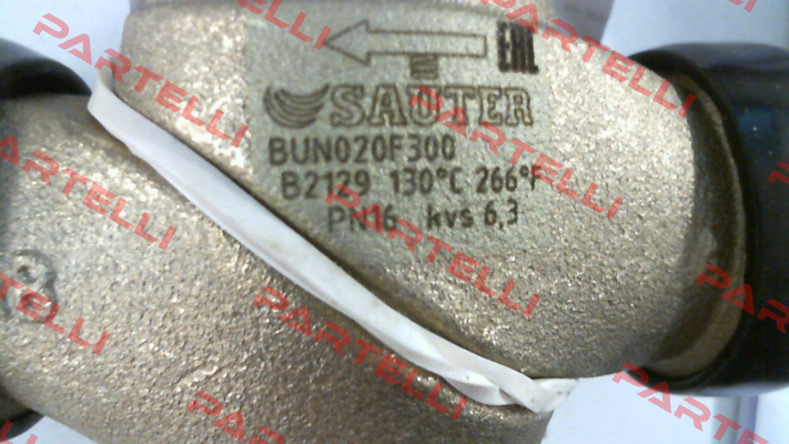 BUN020F300 Sauter