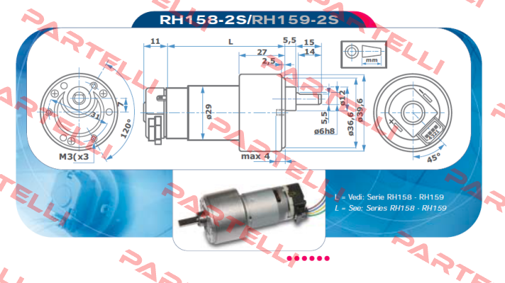 RH158-12-200 Micro Motors