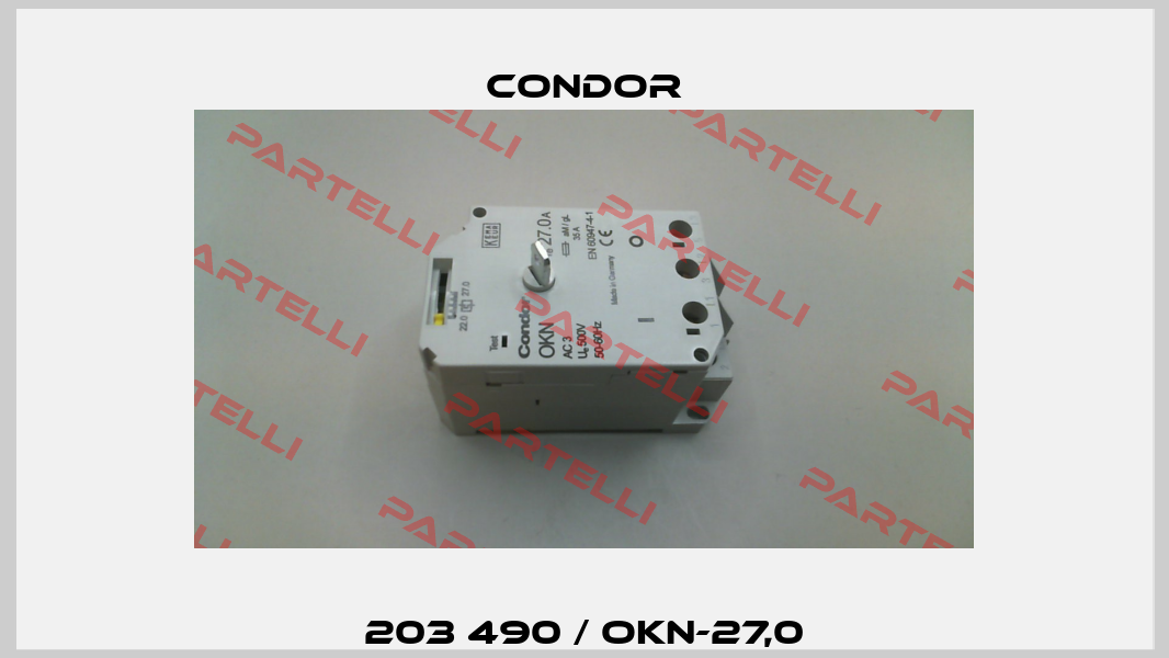 203 490 / OKN-27,0 Condor