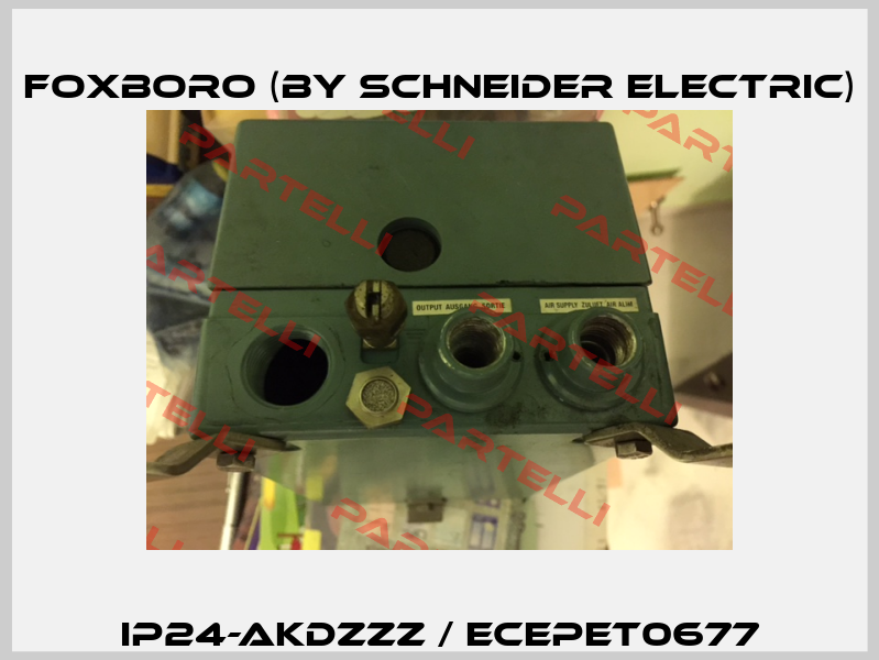 IP24-AKDZZZ / ECEPET0677 Foxboro (by Schneider Electric)