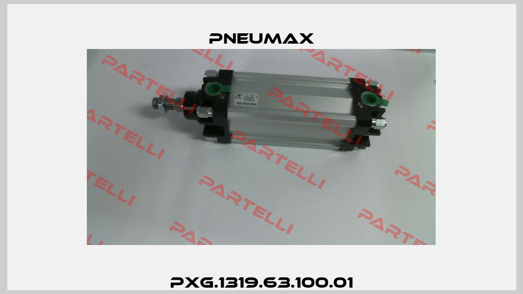 PXG.1319.63.100.01 Pneumax