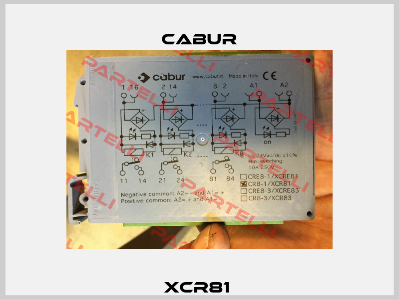 XCR81  Cabur