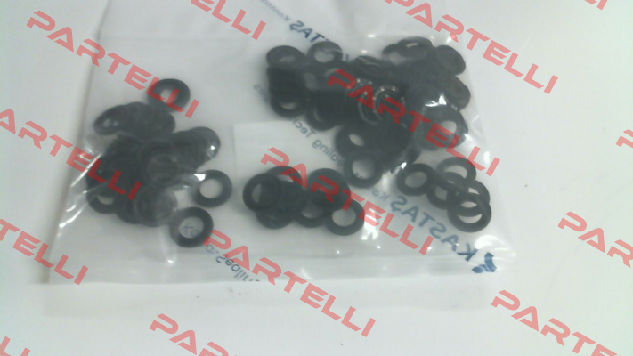 10021914  / K54 20X13X2,5 Kastas Sealing