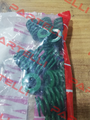 5005000091 Special Springs