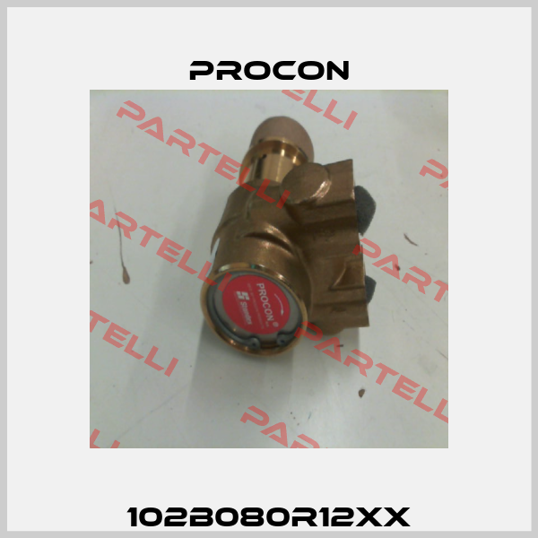 102B080R12XX Procon