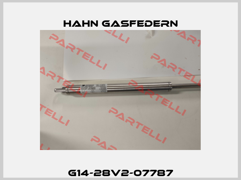 G14-28V2-07787 Hahn Gasfedern