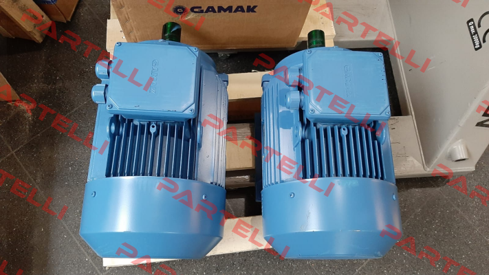 AGM3EL 132 M 2b Gamak