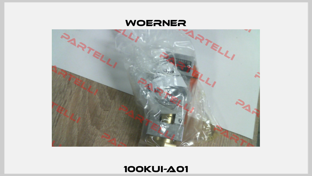 100KUI-A01 Woerner