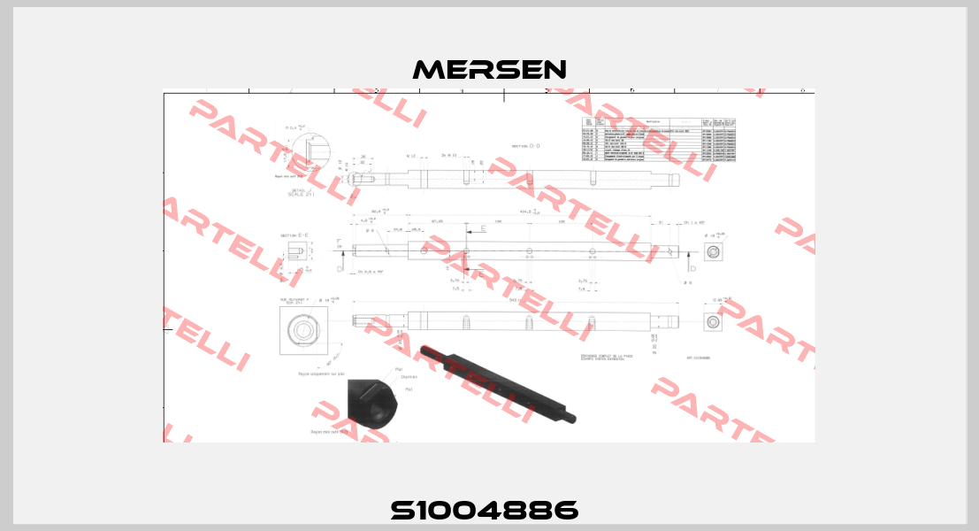 S1004886  Mersen