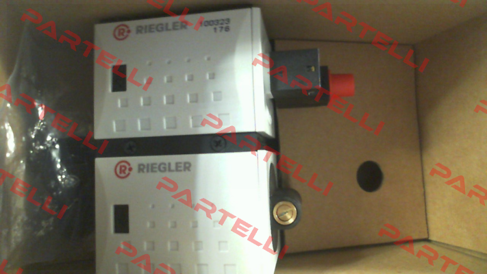 100323 / FU 917 Riegler