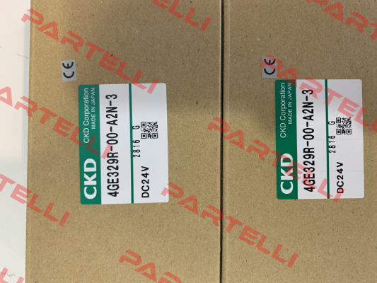 4GE319R-00-A2N-3 Ckd