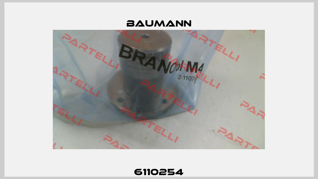 6110254 Baumann