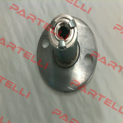 ACLEL1 Ozilite - Automatic