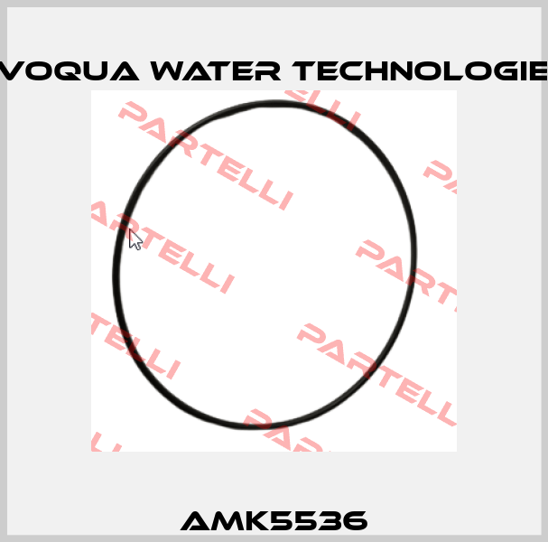 AMK5536 Evoqua Water Technologies