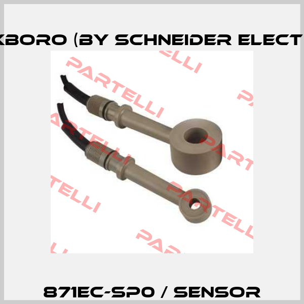 871EC-SP0 / Sensor Foxboro (by Schneider Electric)