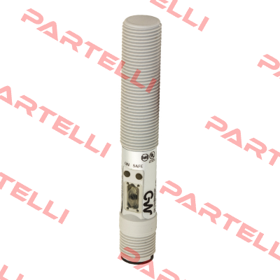 C18P/C0-1E Micro Detectors / Diell (now Datasensing)