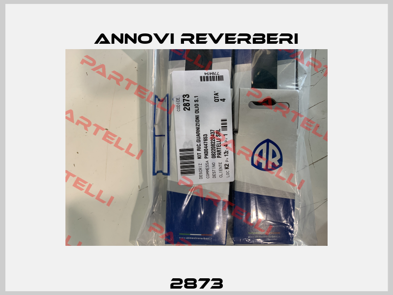 2873 Annovi Reverberi