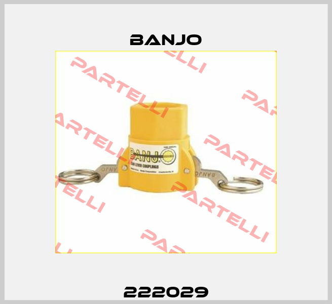 222029 Banjo