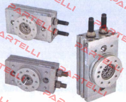 132547 Riegler