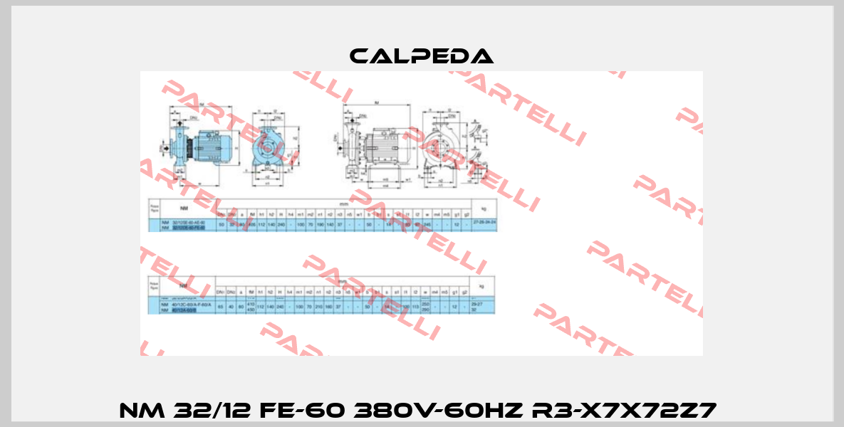 NM 32/12 FE-60 380V-60Hz R3-X7X72Z7  Calpeda