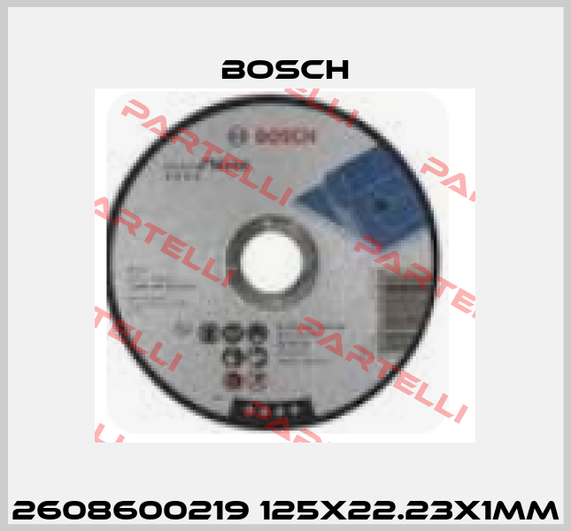 2608600219 125X22.23X1MM Bosch