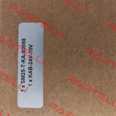 SM25-T-KA-X0058 EDDYLAB