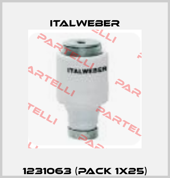 1231063 (pack 1x25) Italweber