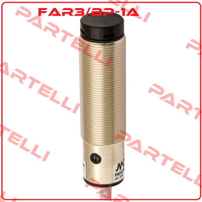 FAR3/BP-1A Micro Detectors / Diell (now Datasensing)