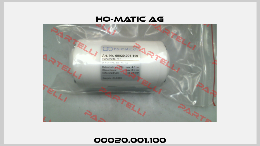 00020.001.100 Ho-Matic AG