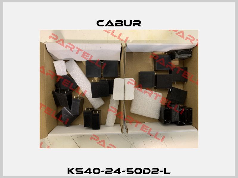 KS40-24-50D2-L Cabur