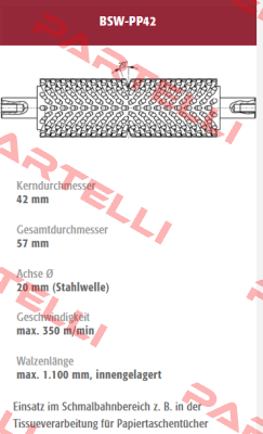 BSW-PP42-232176 old code / new code BSW-PP42-232176/1 Mink Bürsten