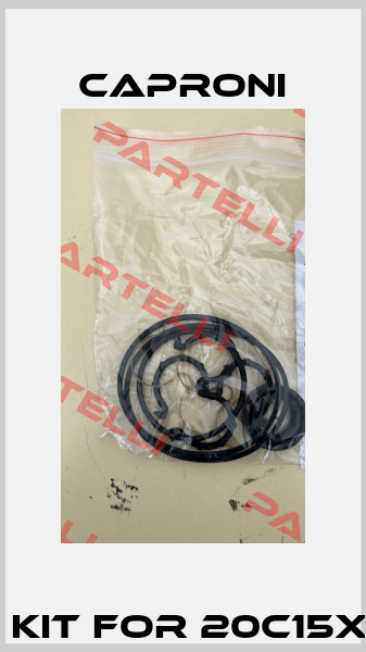Seal kit for 20C15X006F Caproni