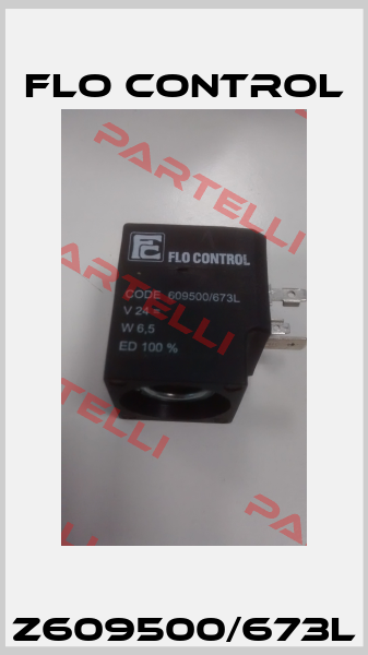 Z609500/673L Flo Control