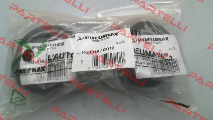 RG1319/0012 / 1319-1320.63.0.01 Pneumax