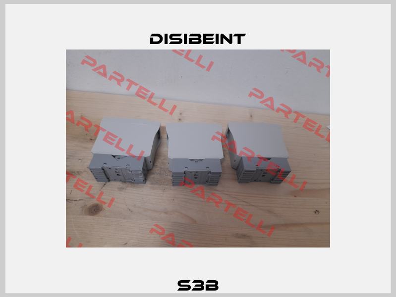 S3B Disibeint