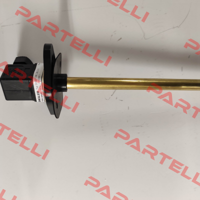 SSM.1.B5.200.5.S1 / G100801 Engler