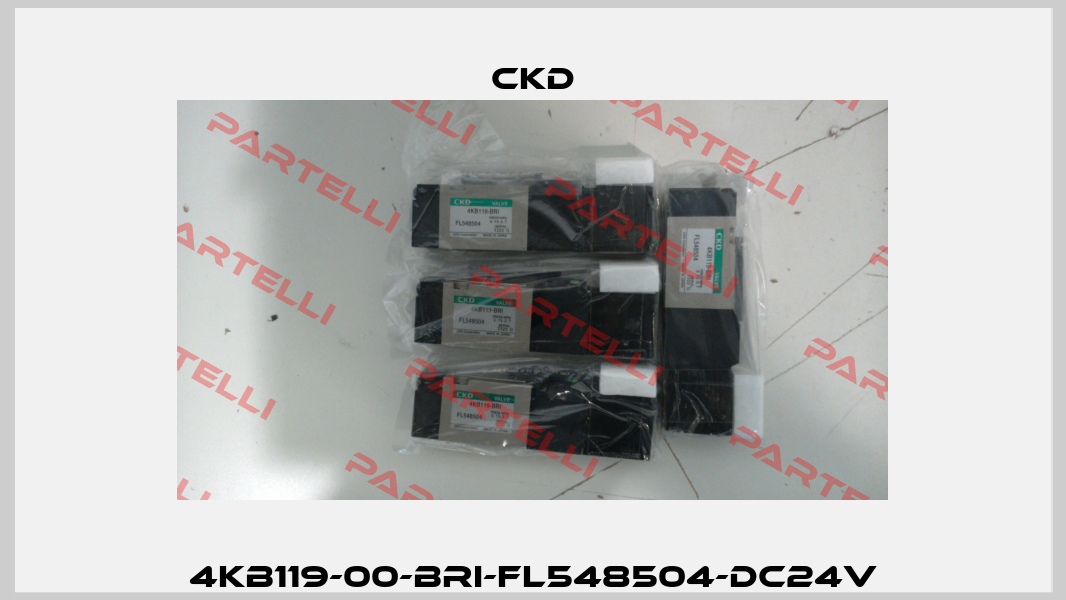 4KB119-00-BRI-FL548504-DC24V Ckd