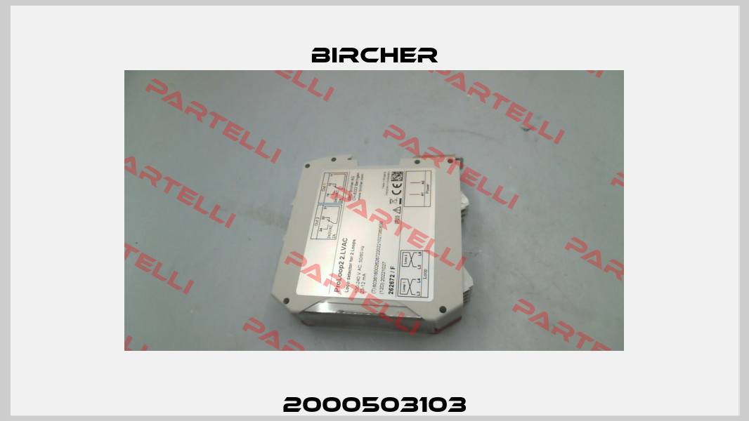 2000503103 Bircher
