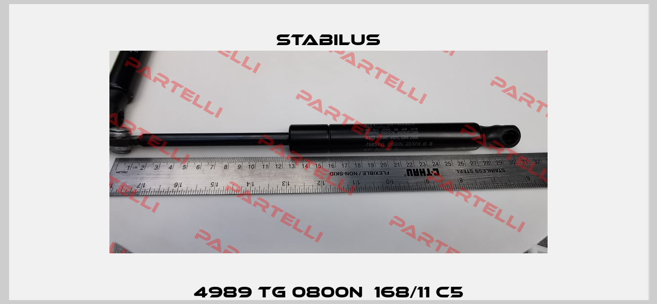 4989 TG 0800N  168/11 C5 Stabilus