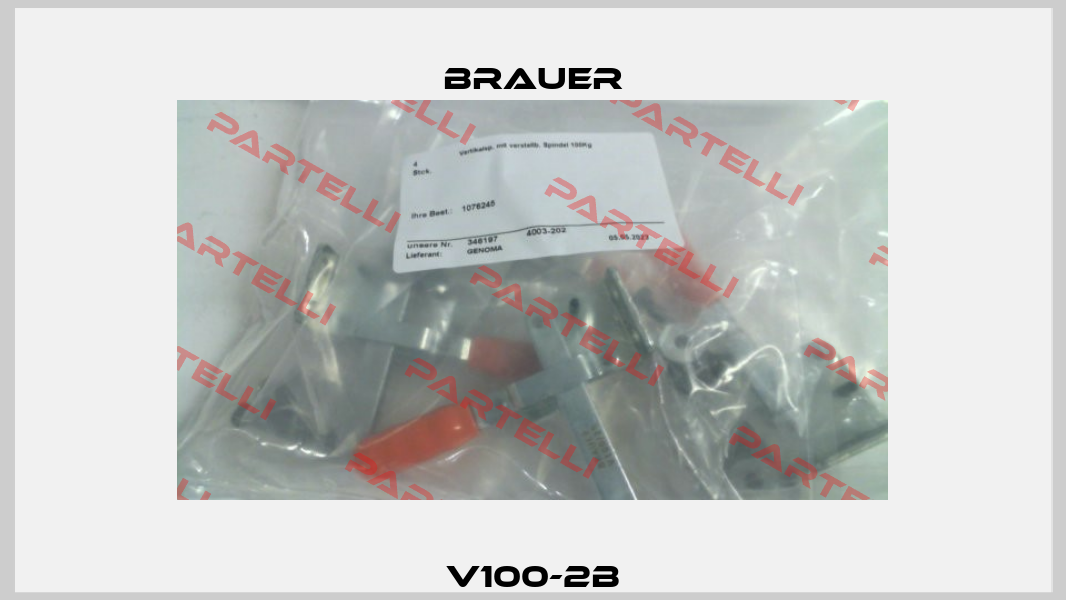 V100-2B Brauer