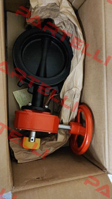 59300W060WS Tyco Fire