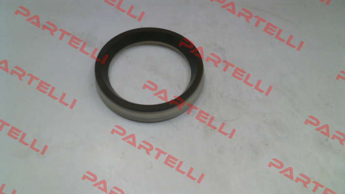 P0538 Pasquin