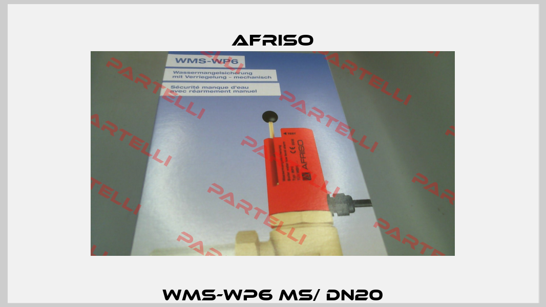WMS-WP6 MS/ DN20 Afriso