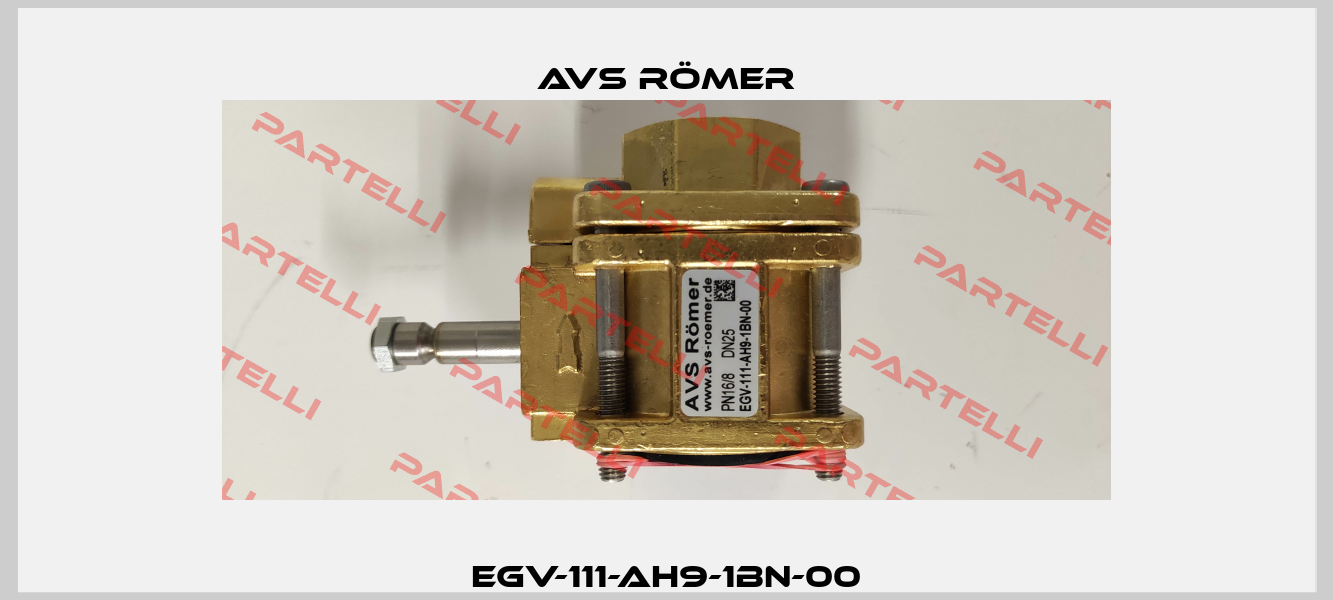 EGV-111-AH9-1BN-00 Avs Römer