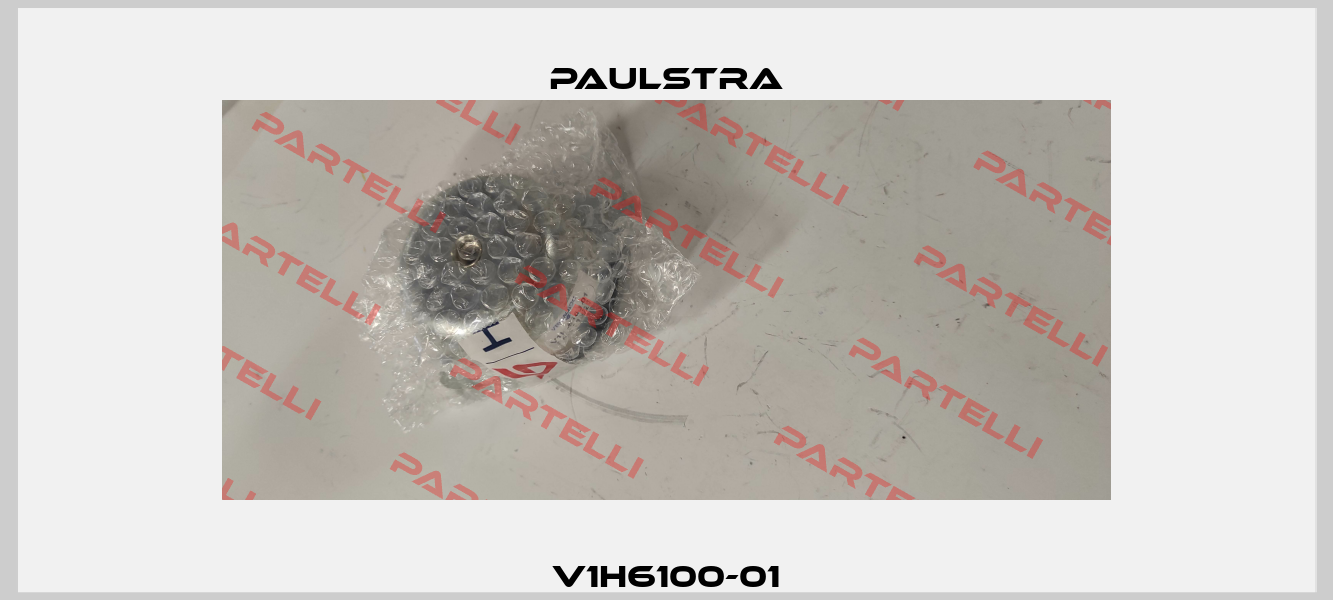 V1H6100-01 Paulstra