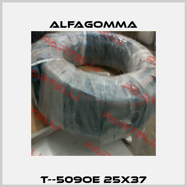 T--509OE 25X37 Alfagomma