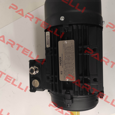 HMA2 90 L-4 IE2 Hoyer Motors